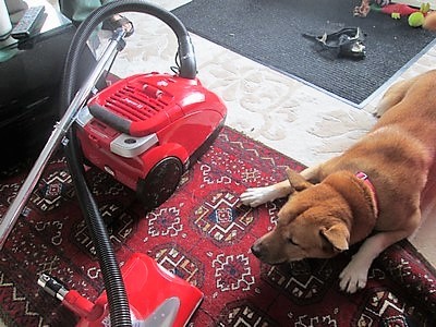 Evil vacuum cleaner