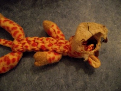giraffe toy.